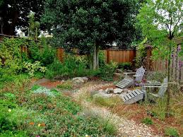 A Woodsy Meadow Like Backyard Habitat Garden Backyard Backyard Landscaping