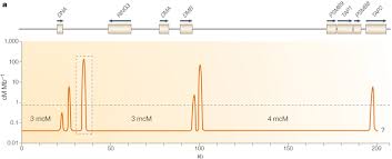 Dna Deletion And Duplication And The Associated Genetic