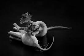 5 Best Techniques For Black And White Still Life Photography