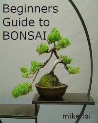 Growing And Caring For Bonsai Trees Bonsai Empire Bonsai Tree Care Bonsai Tree Bonsai