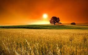 We did not find results for: Free Download Beautiful Backgrounds For Pc 2560x1600 For Your Desktop Mobile Tablet Explore 53 Free Beautiful Backgrounds Beauty Wallpapers
