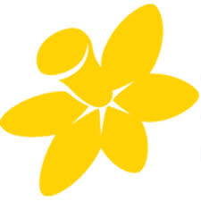 Cancer council australia advises the australian government and other bodies on practices and policies to help prevent, detect and treat cancer. Cancer Council Australia Healthaide