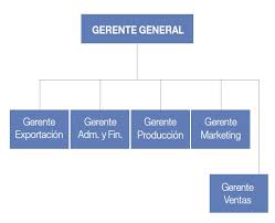 (directorio corporativo) organigrama shell argentina: 4 Modelos De Estructura Organizacional En Una Empresa Exportadora Diario Del Exportador