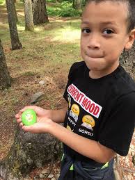 Lost item at Wildwood Park playground