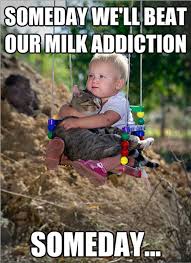 25 funny baby memes, sayingimages.com. 49 Best Funny Baby Memes Of All Time The Viraler