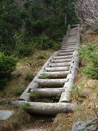 Markers should be evenly spaced, from 20 feet apart in dense vegetation to 100 feet apart in open terrain. Water Off Hikers On Short Course In Sustainable Trail Design The Trek