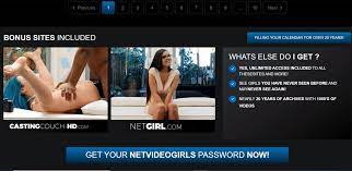 Net Video Girls & 12 Must-Visit Amateur Porn Sites Like NetVideoGirls.com