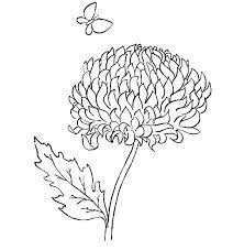Email thisblogthis!share to twittershare to facebookshare to pinterest. Chrysanthemum And A Butterfly Coloring Page Coloring Sun