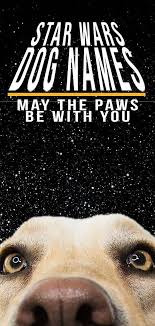 Star Wars Dog Names May The Paws Be With You Dog Names War Dogs Cute Names For Dogs