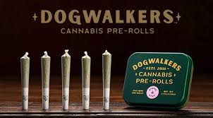 Maybe you would like to learn more about one of these? Don T Try To Buy Marijuana In Illinois And Bring It Back To Wisconsin Local News Kenoshanews Com