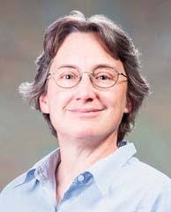 Lighting up disease-carrying mosquitoes