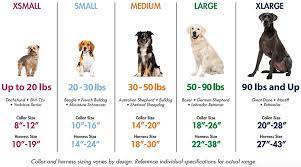 Use a soft tape measure and pull the tape snug but not tight. Sizing Guide Coastal Pet Products