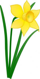 Download Free Daffodil Flower Clipart In Ai Svg Eps Or Psd