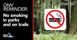 Effective web design for north vancouver businesses. Hd8tt Gwfhi Dm