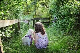 Maybe you would like to learn more about one of these? 7 Surefire Ways To Find Cheap Dog Shots Or Free Vaccinations