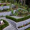 Photograph by jim powell, from can this garden be saved: Https Encrypted Tbn0 Gstatic Com Images Q Tbn And9gcrkejigfkyaqtkmrpzdsqzekhnnnufm3opwzykvbx389mlaguxu Usqp Cau