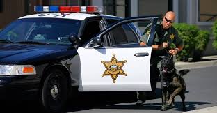 Police Cars Other Interesting Things Police Cars Ford Police Emergency Vehicles