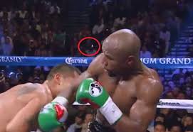 Starting with maidana, who can legitimately claim to have given mayweather his toughest test ever el chino was throwing heavy fists last time and made it look easy at times, especially early in the fight. Marcos Maidana Le Volo Un Diente A Floyd Mayweather Frases De Boxeo