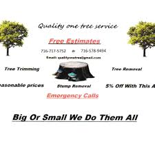 The 10 Best Tree Removal Companies In Kenmore Ny 2021