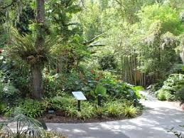 Selby Botanical Gardens Sarasota Fl Must Do Visitor Guides Botanical Gardens Urban Garden Survival Gardening