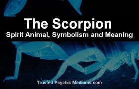 The Scorpion Spirit Animal Spirit Animal Animal Totem Spirit Guides Spirit Animal Meaning
