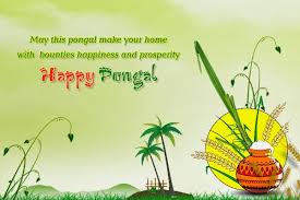 Happy new year 2021 images download: Happy Pongal 2021 Images Pictures Photos Hd Free Download
