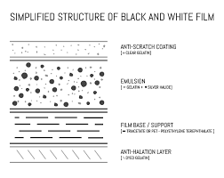O poveste încântătoare de acțiune și aventură, despre câini și oameni, despre prietenie și loialitate și despre tenacitatea și speranța care au dat naștere uneia dintre cele mai frumoase povești. How To Shoot Expired Film Or No You Do Not Need To Add One Stop Per Decade Emulsive