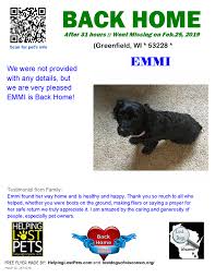Check out our prayer for pet selection for the very best in unique or custom, handmade pieces from our shops. Reunited Emmi The Poodle Mix From Lost Dogs Of Wisconsin Facebook