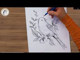 pin by hd drawing academy on drawing for beginners drawing for beginners pencil drawings dreamcatcher tattoo