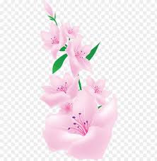 Beautiful abstract color pink and red flowers on black background and light black and pink flower frame and pink leaves texture, d. Download Light Pink Painted Flowers Png Images Background Toppng