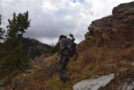 Rock counter has saved home owners and contractors thousands of dollars on sinks, kitchen cabinets, bathroom cabinets and granite or quartz countertops. Elk Hunting For Rookies Nfaa