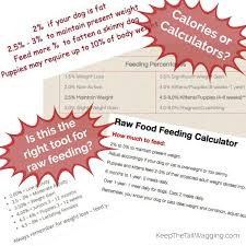 The Myth Of The Raw Feeding Calculator Skinny Dog Dog Eating Feeding