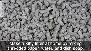 Maybe you would like to learn more about one of these? 12 Alternatives To Clay Cat Litter You Didn T Know Cat Appy