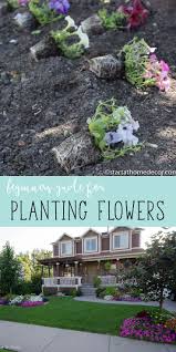 Get The Most Out Of Your Flowers This Year With My Beginners Guide For Planting Flowers Vegetable Garden For Beginners Planting Flowers Beginners Landscaping
