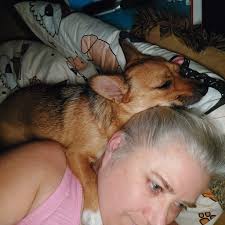 DOBY sweet boy is one of the 5 boys who has his 4ever home with us...