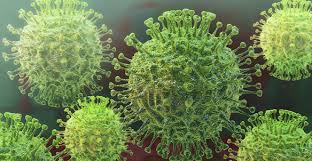 An official website of the national institutes of health. Covid 19 Cannot Be Transmitted By Either Farm Animals Or Domestic Animals Anses Agence Nationale De Securite Sanitaire De L Alimentation De L Environnement Et Du Travail