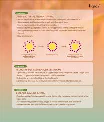 Normal functions • defense against infections • defense against some tumors. Tigrox Imuglo Strengthen Your Immune System Wellnessmall Com My