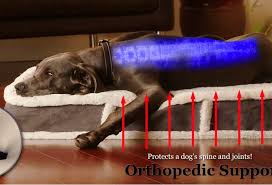 Upholstered with furniture grade construction and a full loft cushion for luxurious comfort. Top 10 Best Orthopedic Dog Beds Reviews Buying Guide In 2020