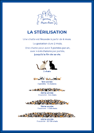 Cette association compte une dizaine d'adhérents. Sterilisation Limitons Ensemble La Misere Animale Fondation Brigitte Bardot