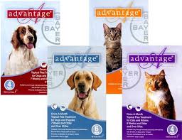 Advantage Or Frontline Topical Flea Preventatives Pet Meds Dogs Flea Medicine For Cats
