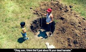 Uzmovi » tarjima » minari premyera. Film Freak Central Minari 2020