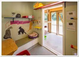 18 amazing cat room designs for your inspiration i can has indoor cat houses inside house ideas 9 fmsuperestrella indoor cat room ideas greyside cool original 10 house plan online modular kitty playground gives cats a cat room design animal, cat, cute, decorating, decoration, design. Facility Design And Animal Housing University Of Wisconsin Madison Shelter Medicine Program