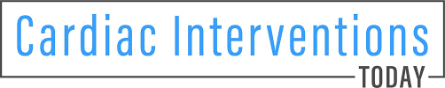 Author Guidelines CIT.docx