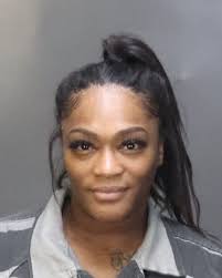 McLennan County Mugshots Application