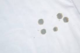 Check spelling or type a new query. Olflecken Entfernen Praktische Tipps Zum Olflecken Beseitigen