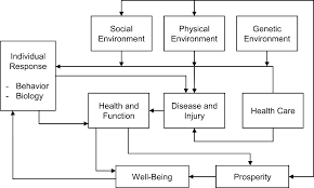 Your body mass index bmi is calculated by dividing your weight in kilograms by your height squared in metres. Http Mediatum Ub Tum De Doc 1535050 1535050 Pdf
