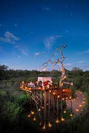 Sleep Above The Lions In These Luxe African Treehouses Tree House Lion Sands Game Reserve Places
