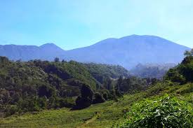 Selabintana conference resort отель адрес: Warga Sukabumi Hilang Saat Berburu Di Gunung Gede Pangrango Indosinpo