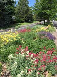 Feucht garden flowers provide showy, colorful displays in a xeriscape garden. Xeriscape Gardening City Of Louisville Co
