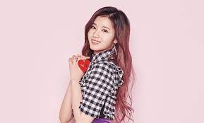 This page provides all possible translations of the word sana in the korean language. Sana Opens Up About Her Scandal At Twicelights Concert In Seoul Asian Junkie